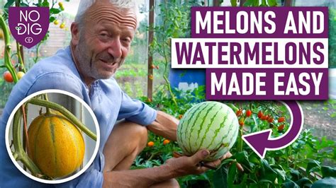 melonstubes|Touch My Melons